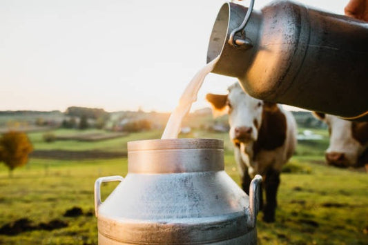 Milk Additives In Soap making
