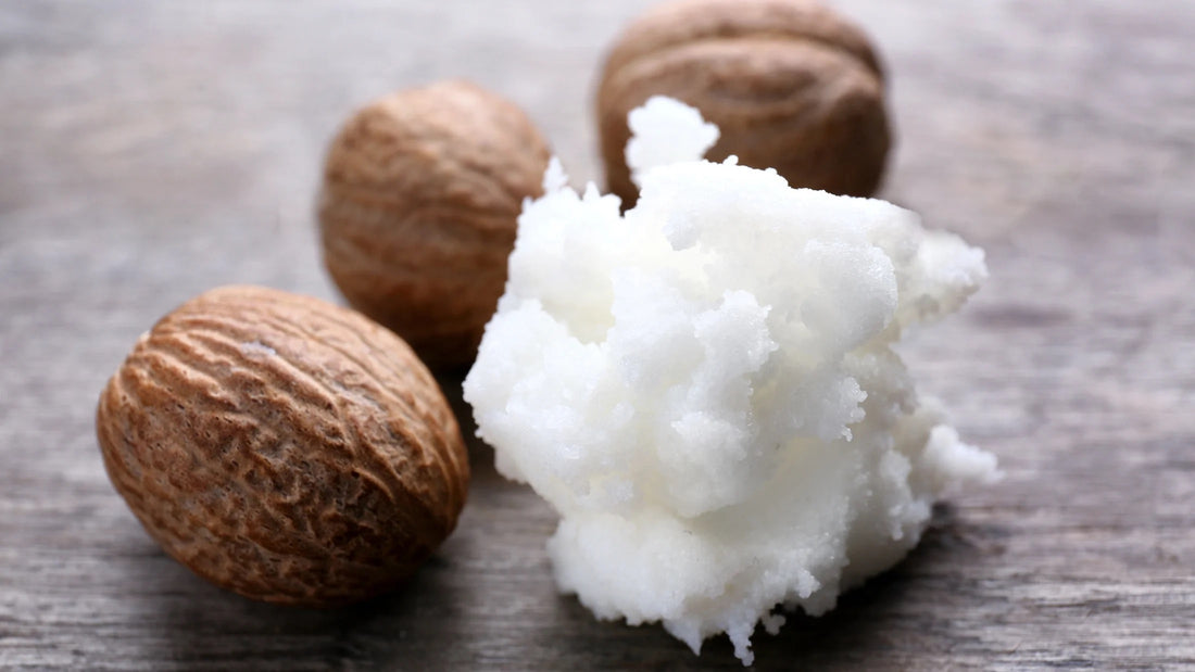 Ingredient Spotlight: Murumuru Butter